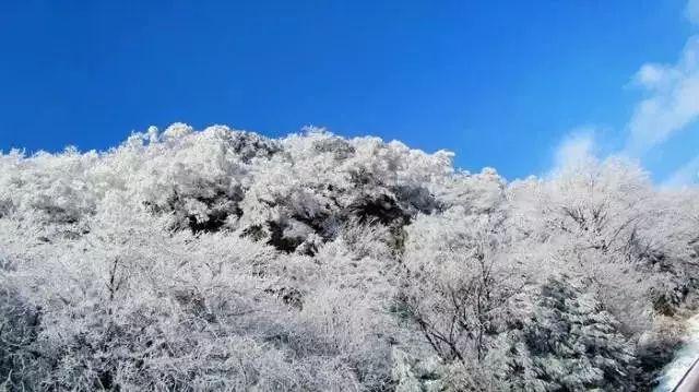 逃出国家公园