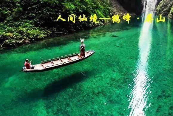 救援采蜜人
