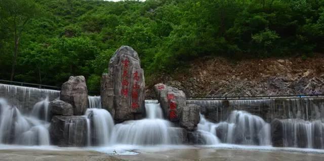 骡子是什么动物杂交而来的