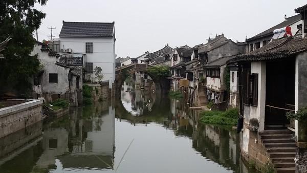 植物大战僵尸20