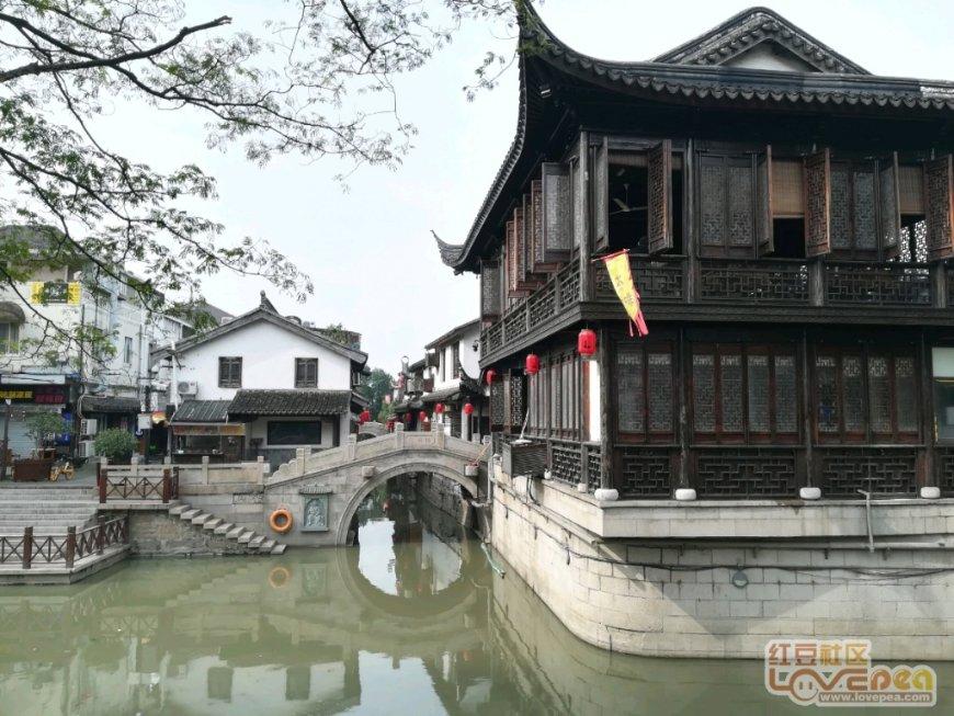 镜之边缘：催化剂